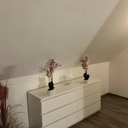 Duplex Colore Et Lumineux Provins