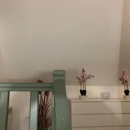 Duplex Colore Et Lumineux