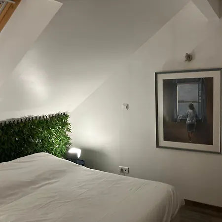 Duplex Colore Et Lumineux *