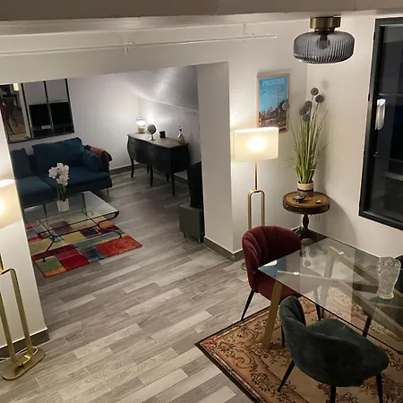 Duplex Colore Et Lumineux Apartment Provins